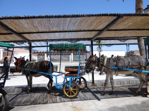 The donkeys of  Mijas Pueblo
